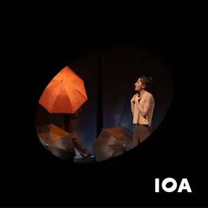 IOA 13