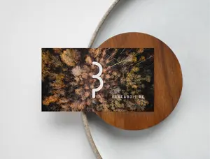 Placabois 6