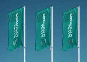 VSF 13